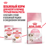 Royal Canin Kitten Киттен Корм сухой сбалансированный для котят в период второй фазы роста до 12 месяцев 300г
