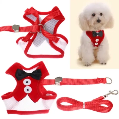 Шлейка с поводком для мелких пород собак и кошек «LAPUSIK», цвет красный, размер L