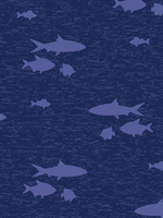 Топ медицинский мужской Cherokee CK692, акула, XS