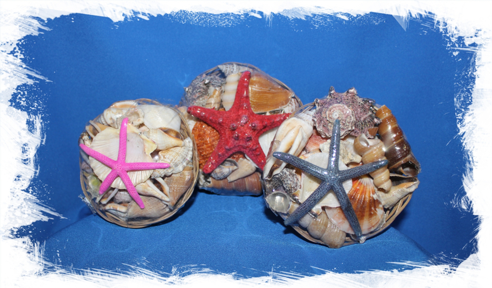 Набор ракушек в корзинке 10 см