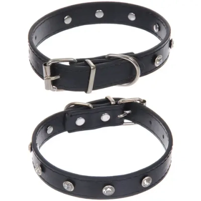 Ошейник для собак и кошек со стразами «На стиле», цвет черный, 2см, размер S, 28*30см (лейбл)