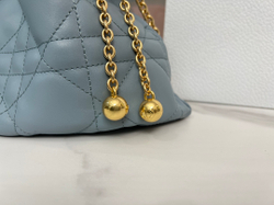 Christian Dior Ammi Medium 31 cm