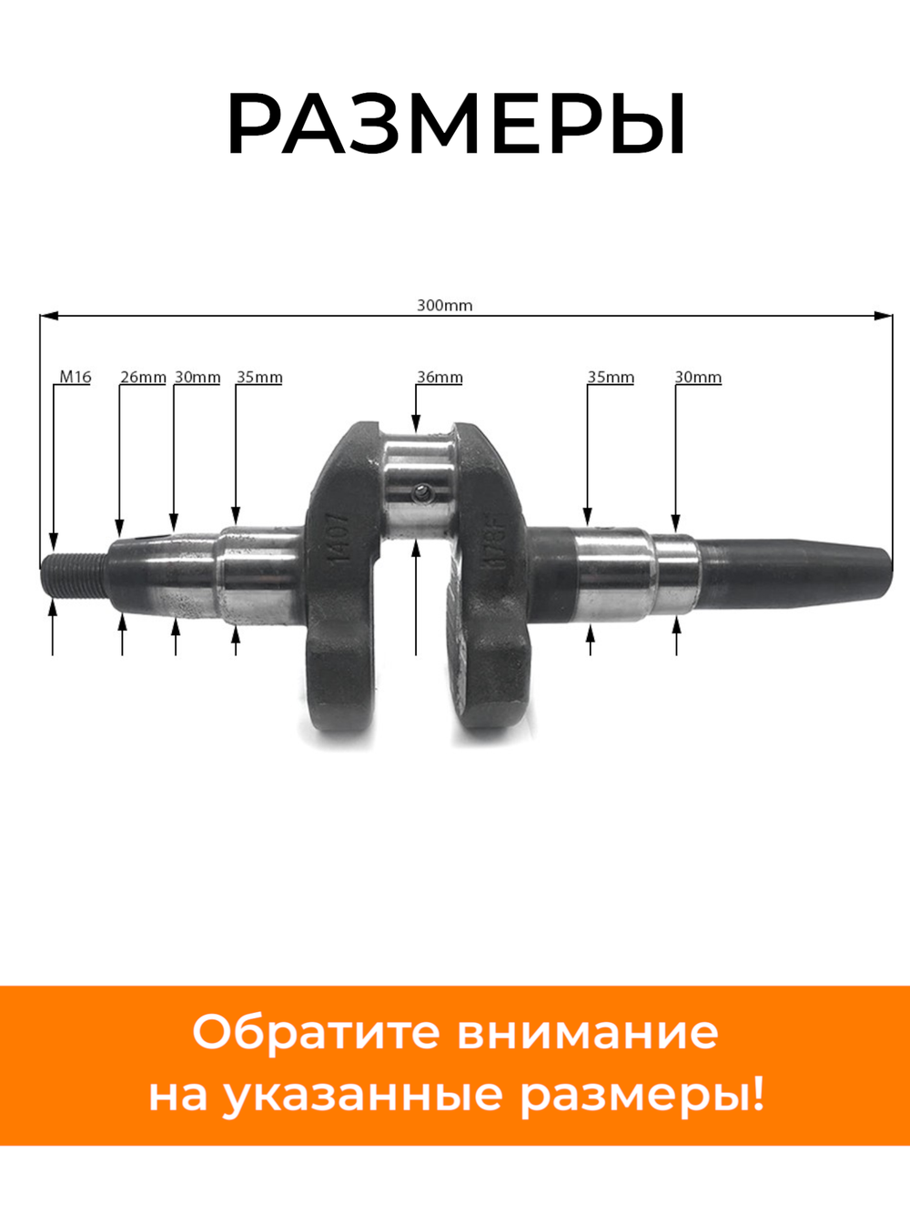 VM0070-178F (2)