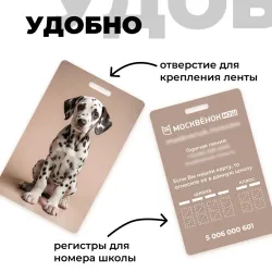 Карта Москвёнок DOGS №8 (проход + питание)