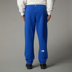 Брюки спортивные мужские THE NORTH FACE U AXYS JOGGER