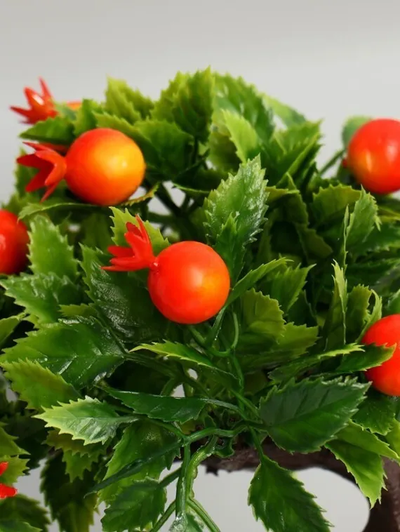 Бонсай в горшке "Деревце плодовое" 10х18 см