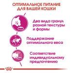 Сухой корм для привередливых к вкусу кошек Royal Canin Savour Exigent РАЗВЕСНОЙ