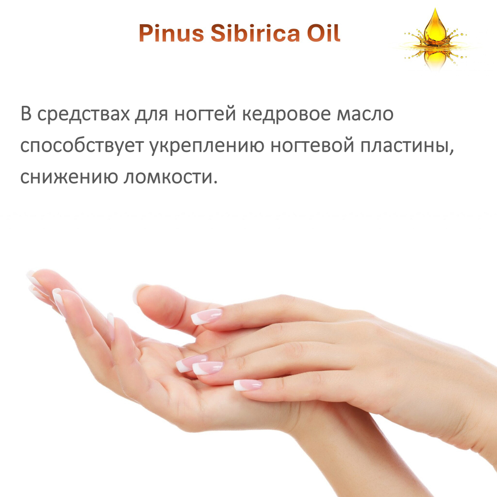 Масло кедрового ореха / Pinus Sibirica Oil