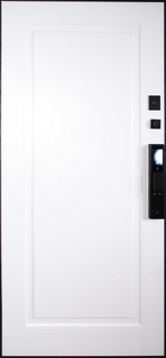 Стальная дверь "Сапсан" (биометрический замок DZ 888)