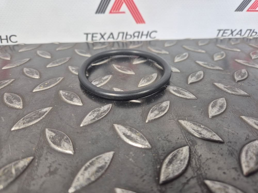 О-кольцо 095-1619