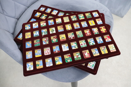 Значок "Герб населённого пункта Рязанской области"