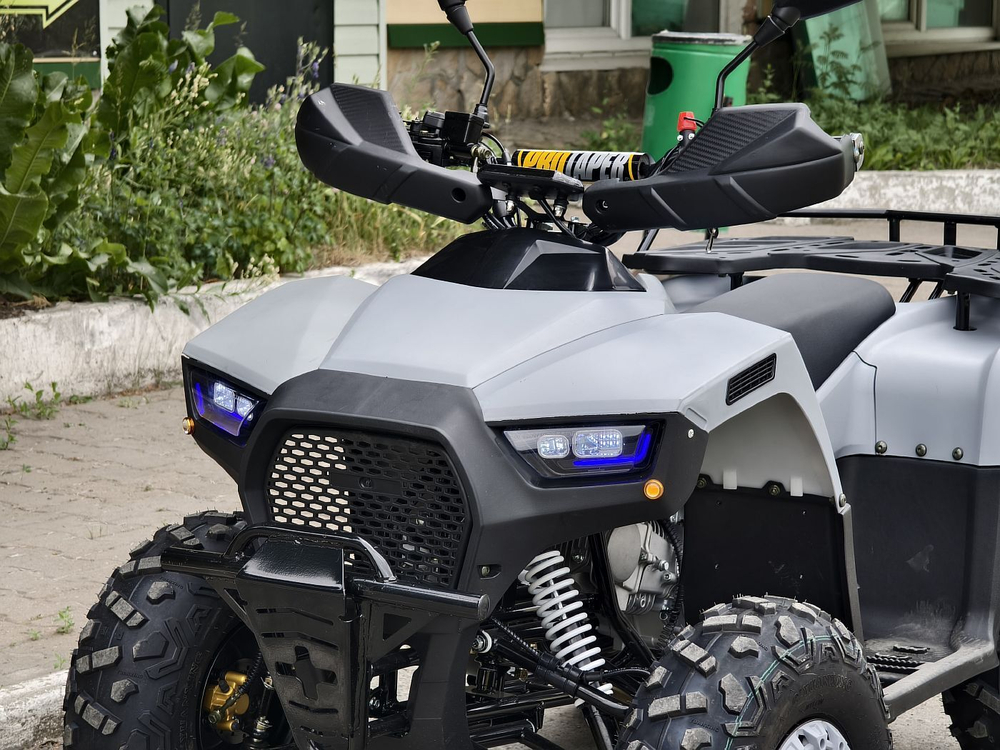 Lion 125 RR серый