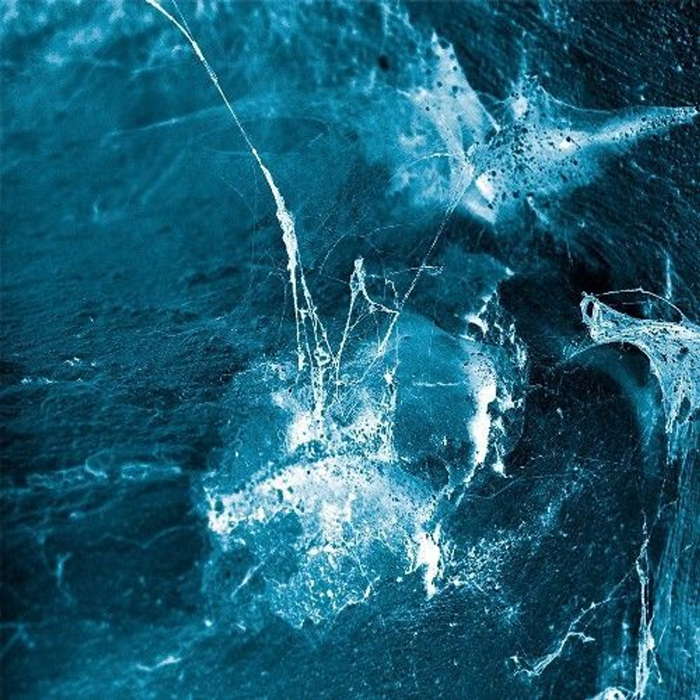 ARSTIDIR - Hvel DIGIPAK, музыкальный компакт диск