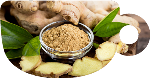 Puer Hookah - Cenozoic Ginger (100г)