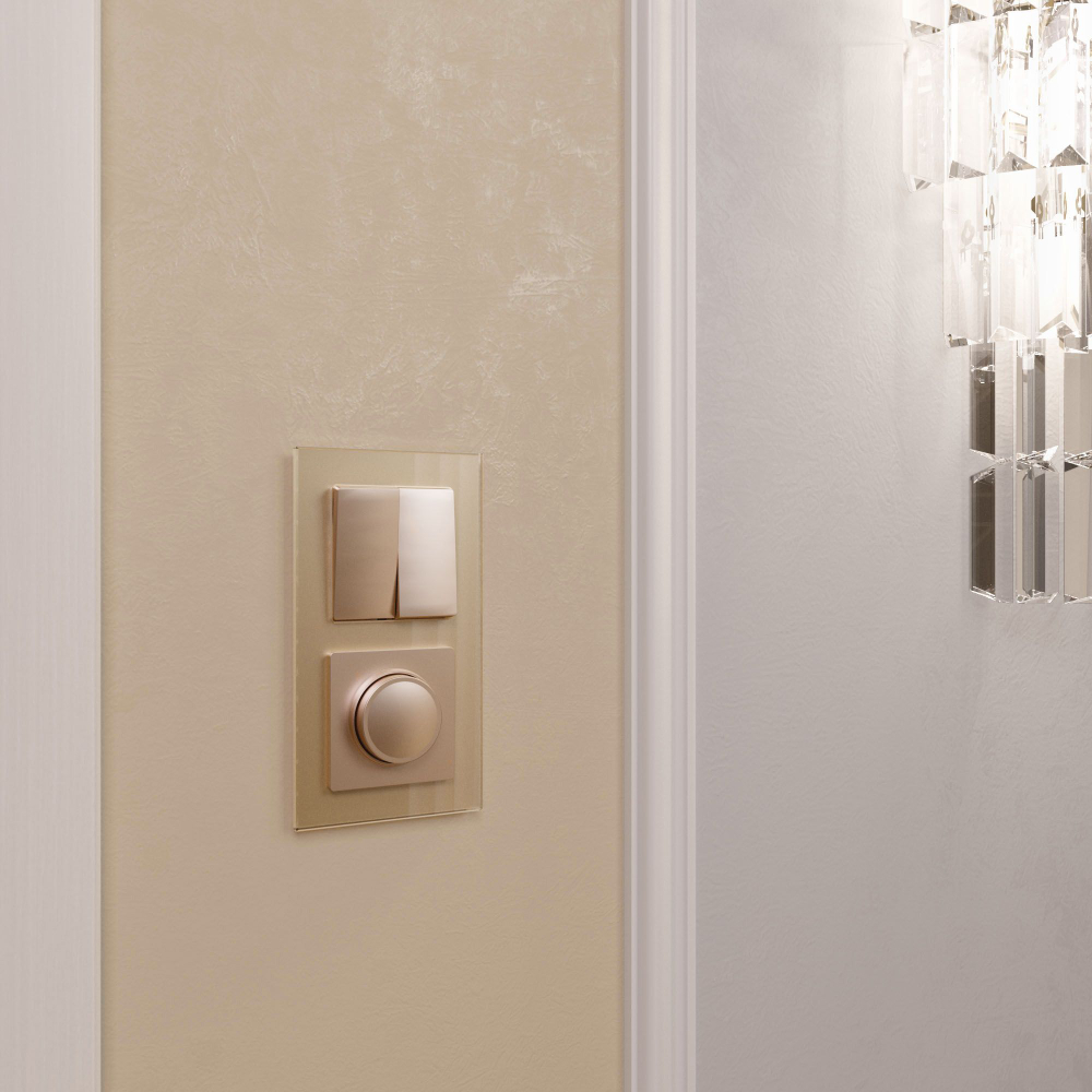 Диммер (шампань)