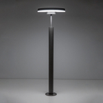 Citilux GARDA CLU03B1 LED Уличный парковый светильник поворотный Графит