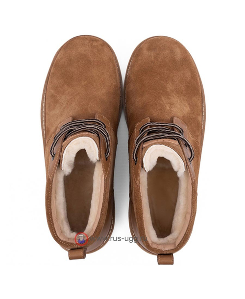 NEUMEL GENTLEMAN Chestnut