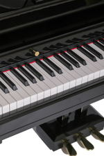 Цифровой рояль Orla Grand-500-BLACK