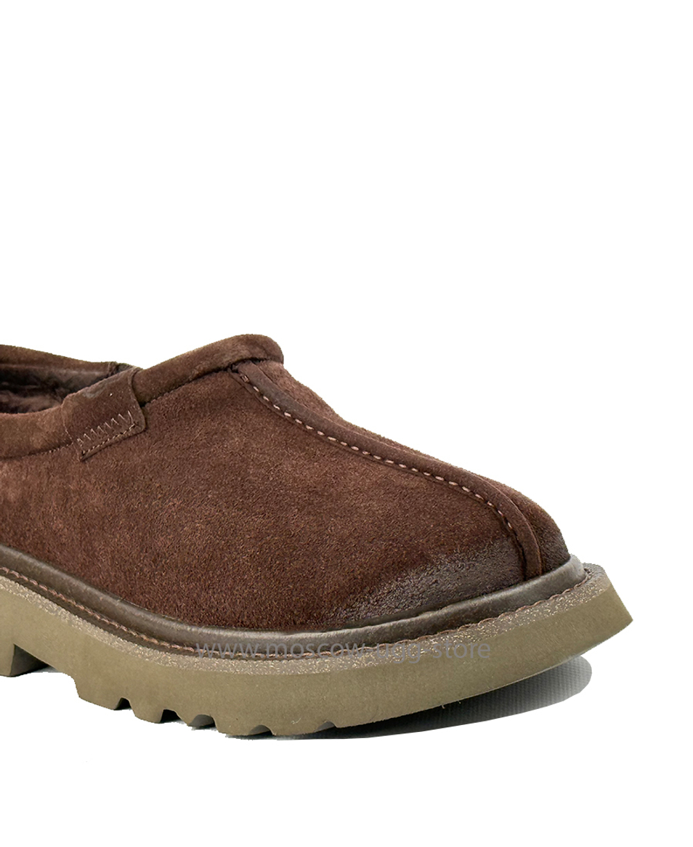 MEN'S TASMAN LUG - Molasses