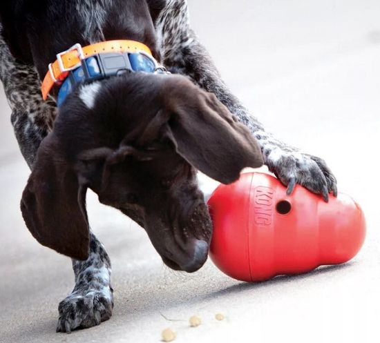 Пищевые игрушки для собак