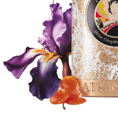 Atkinsons Shine Despite Everything Parfum Intense 100 ml