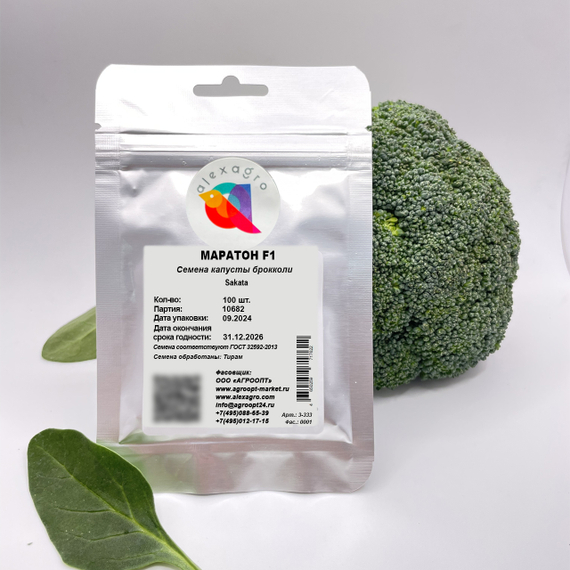 МАРАТОН F1 семена капусты брокколи Sakata характеристика – фото 4