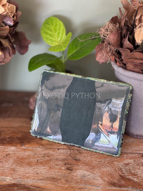 Обложка на паспорт из кожи питона AC-143