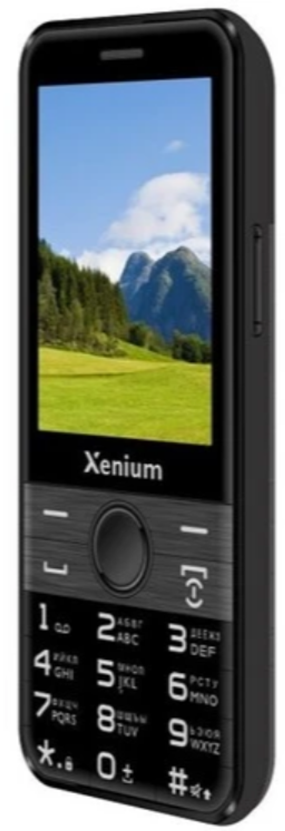 Сотовый телефон Xenium X800 black