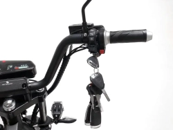 Электроскутер SKYBOARD BR100-5000 (Amur)