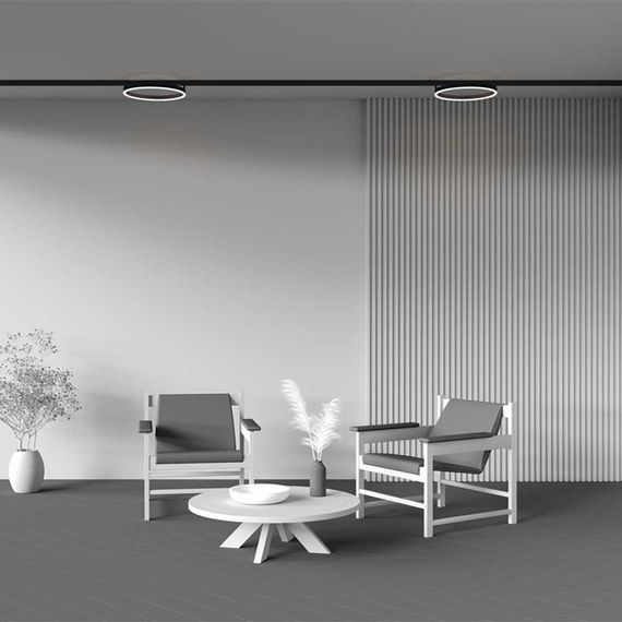 Трековый светильник Maytoni Technical TR227-2-24W3K-B