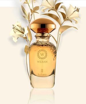 WIDIAN Gold II Sahara