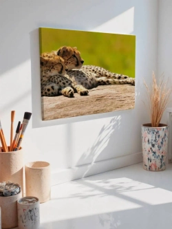 Картина на стену 40 X 50 Гепарды