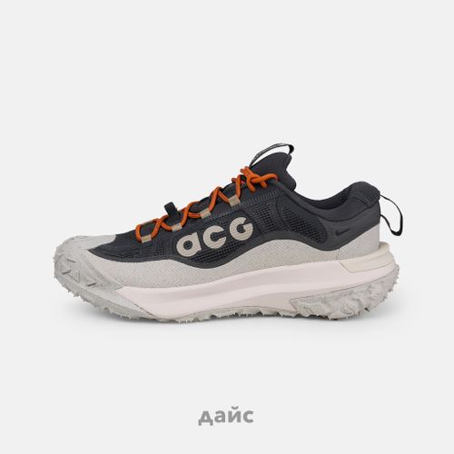 Кроссовки Nike ACG Mountain Fly 2 Low GTX 