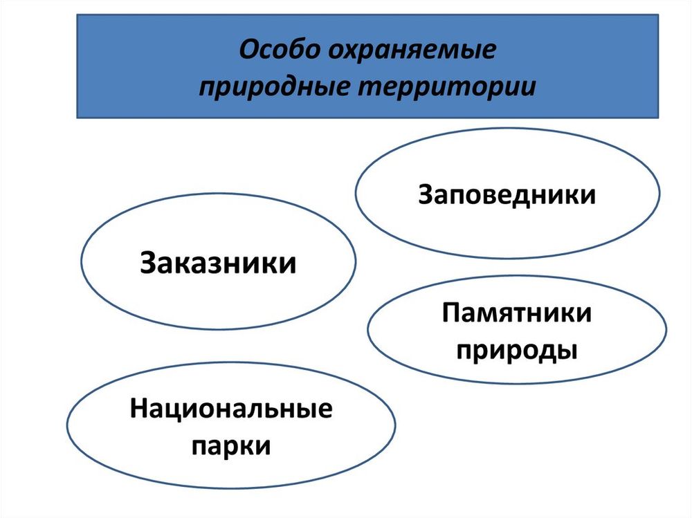 Природные зоны и биологические ресурсы России — купить по ФГОС | Учебный стандарт