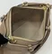 Сумка Louis Vuitton Trianon MM бежевый