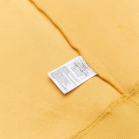  Толстовка мужская Carhartt WIP Hooded Chase Sweatshirt артикул:I033661_sunray - купить в магазине Дайс