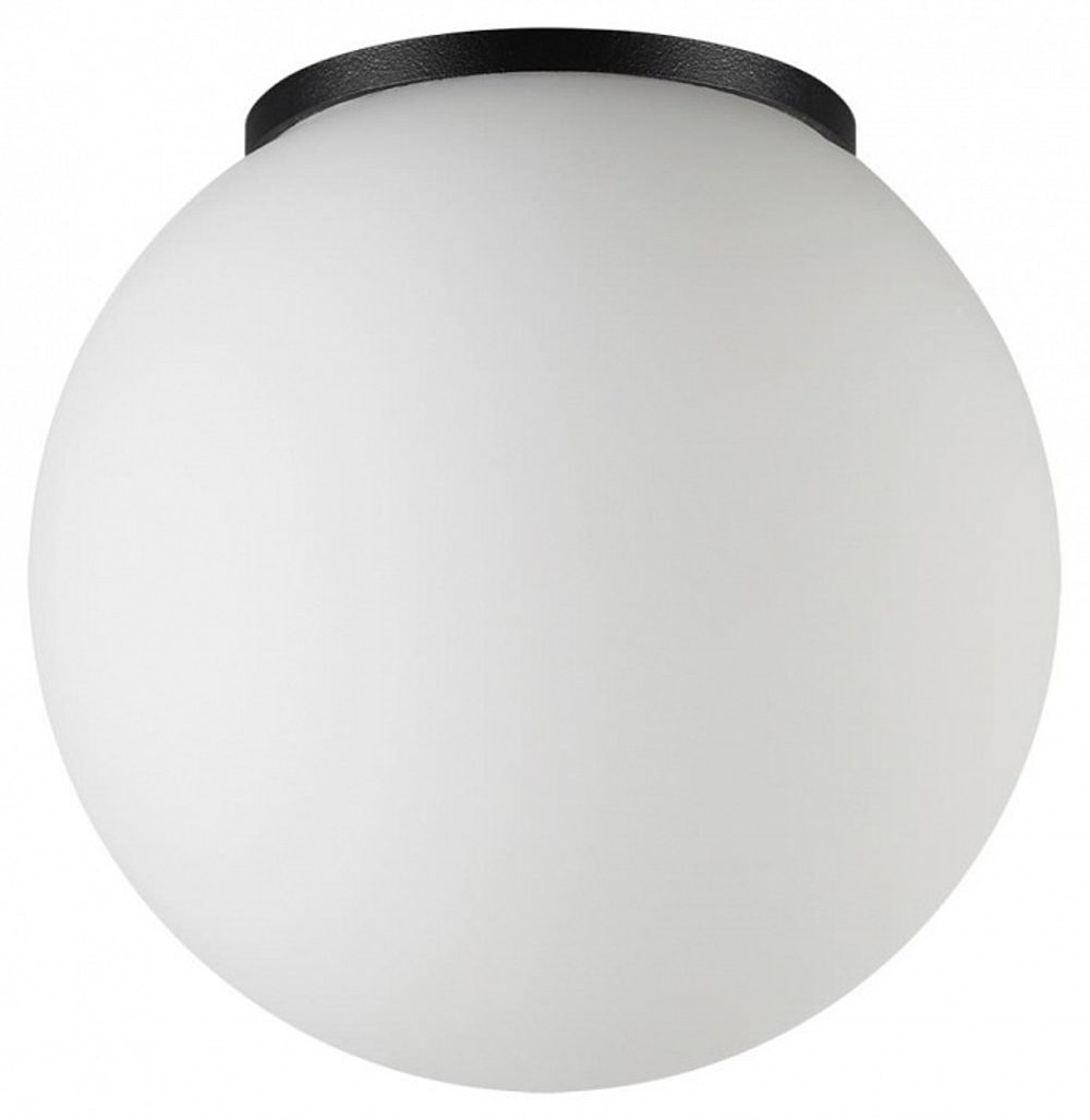 Накладной светильник Odeon Light NATURE 7124/1C