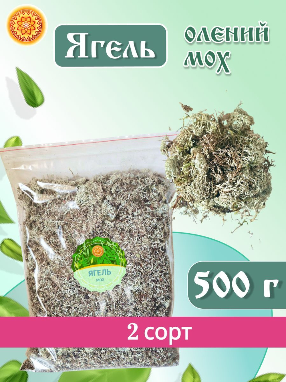 Исландский мох цетрария, 100 г.