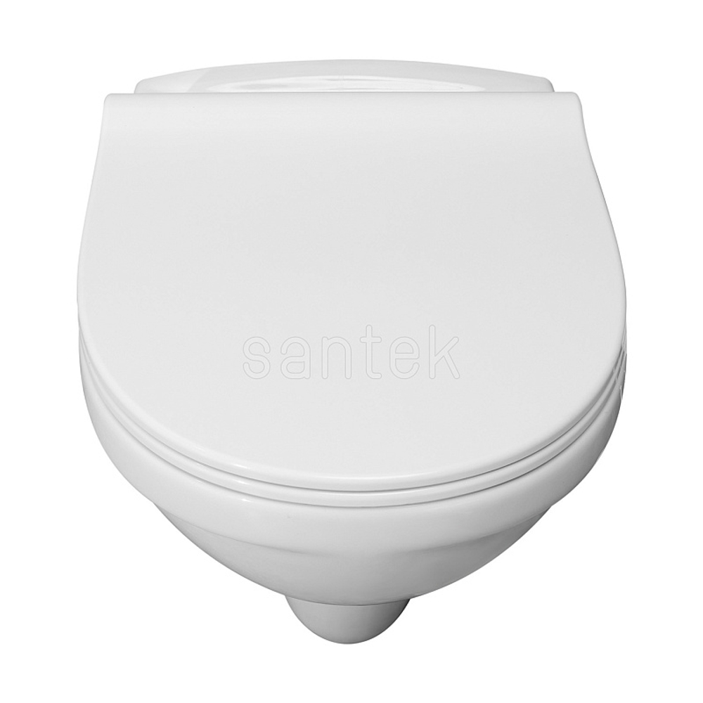 Пэк Santek "Бореаль" rimless подвесной, безободковый унитаз с тонким сиденьем, инсталляция, панель белого цвета (1.WH50.1.832)