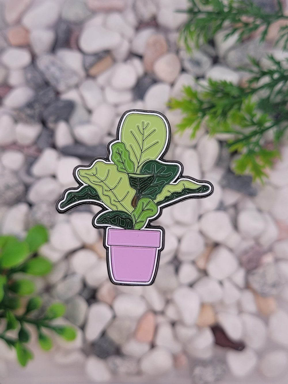 Значок фикус Лирата