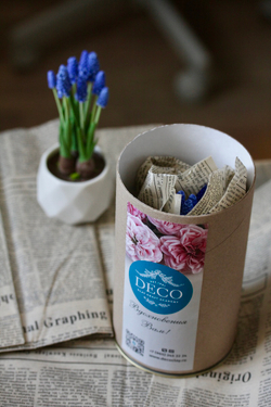 Мускари. Мышиный гиацинт