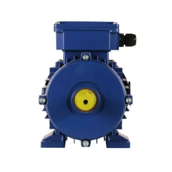 Электродвигатель трехфазный 5АИ 71 В2 IM 1081 1.1 кВт 3000 об/мин