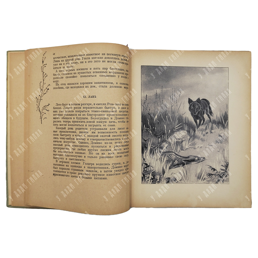 Сетон-Томпсон Э. Домино. Рассказы для старшего возраста. Рис. автора. Москва. Детгиз. 1935 г.