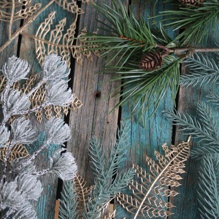 Ветки и лапник