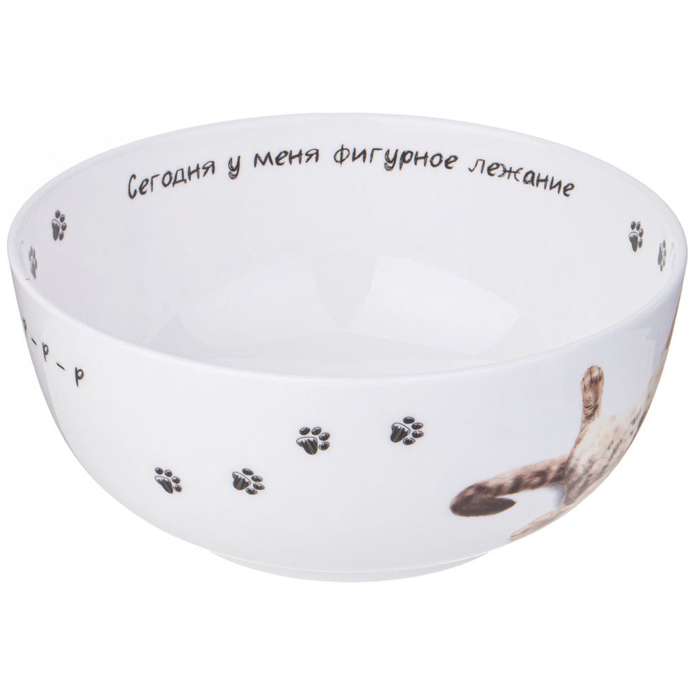 САЛАТНИК-ТАРЕЛКА СУПОВАЯ LEFARD "БЕРИ КОТА" 750 МЛ 15,5*6,5 СМ (КОР=36ШТ.)