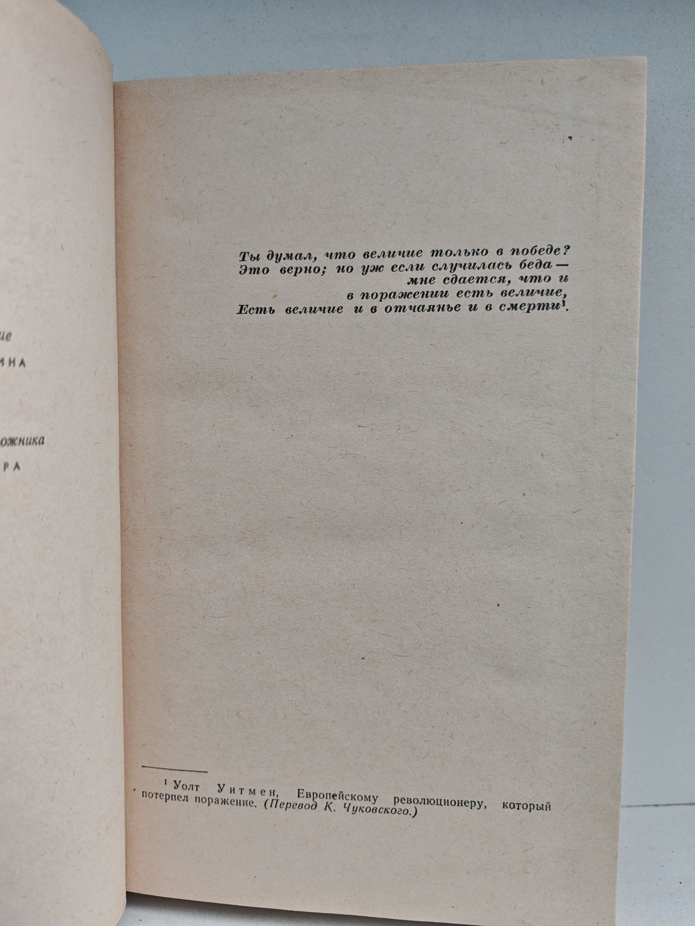 Венок Майклу Удомо: Роман