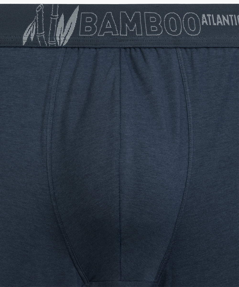 Мужские трусы шорты Atlantic, набор из 3 шт., бамбук, бежевые + коричневые + сине-зелёные, 3MH-231