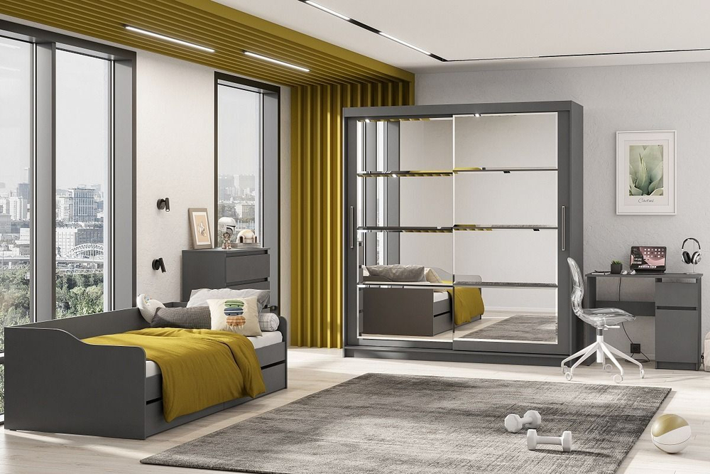 Шкаф-купе с зеркалом для одежды, Графит серый, 200х60х220 см