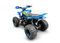 Квадроцикл RACER Typhoon 250