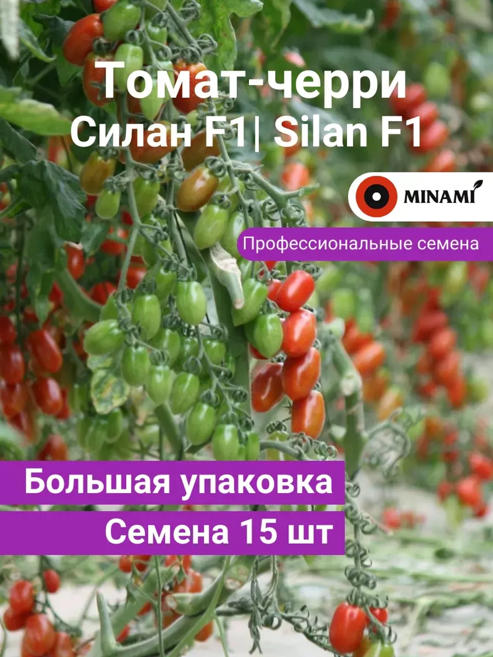 Томат-черри Силан F1